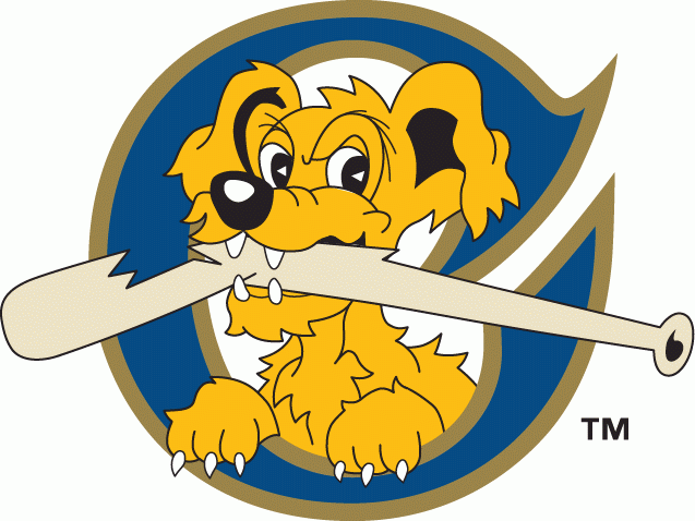 Charleston Riverdogs 1996-2010 Cap Logo iron on transfers for T-shirts